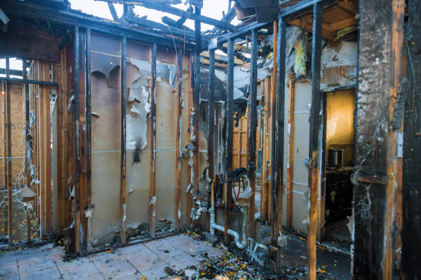 Professional Fire Damage Removal technician working in Madison, SD